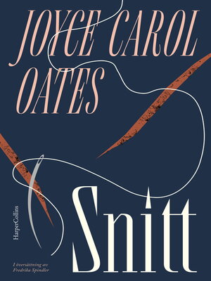 cover image of Snitt